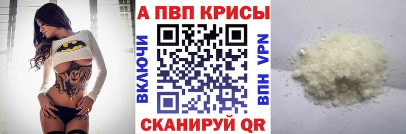 A PVP СК КРИС Шахунья