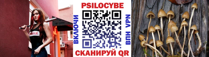Галлюциногенные грибы мицелий  кракен tor  Шахунья 